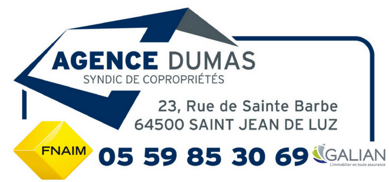 Logo plus petit
